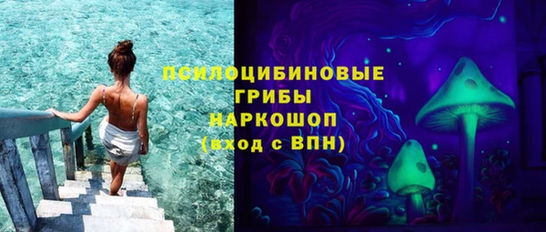 мяу мяу мука Алексин