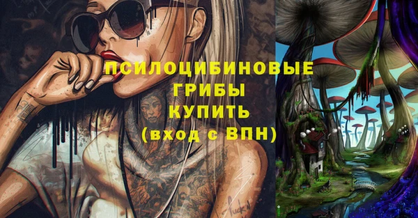 эйфоретик Алексеевка