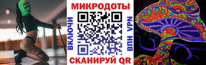 Псилоцибиновые грибы Psilocybine cubensis  Черноголовка 